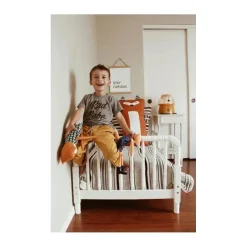 Guindaste adorável 1 galão. Umidificador de névoa fria ultrassônica Fox