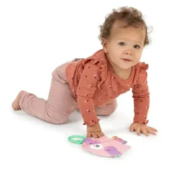Ingenuity - Brinquedo Dobrável de Guaxinim para Recém-nascidos