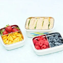 Innobaby - Caixa de lanche Bento dividida em aço inoxidável Keepin' Fresh, 11 onças, laranja