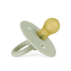 Itzy Ritzy - Chupeta Paciset de Borracha Natural, Agave Suculenta
