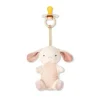 Itzy Ritzy - chupetas com borracha natural e algodão macio Lovey Bunny