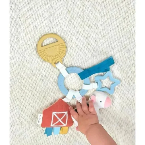 Itzy Ritzy - Conjunto de presentes Bitzy Busy, Fazenda