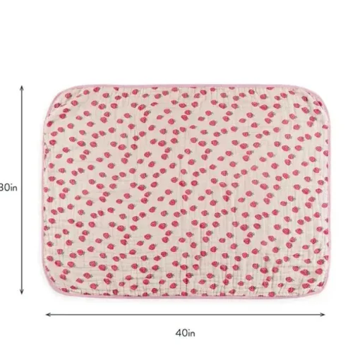 Itzy Ritzy - Itzy Blanket™, Strawberries + Cream