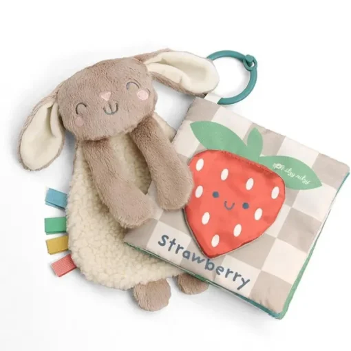 Itzy Ritzy - Itzy Learn & Snuggle Gitf Set, Bunny