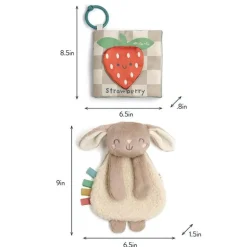 Itzy Ritzy - Itzy Learn & Snuggle Gitf Set, Bunny