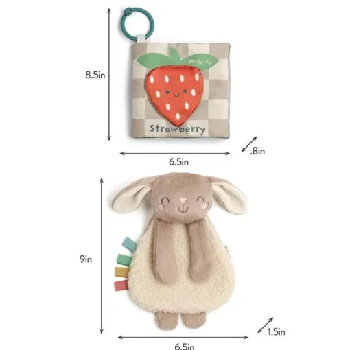 Itzy Ritzy - Itzy Learn & Snuggle Gitf Set, Bunny