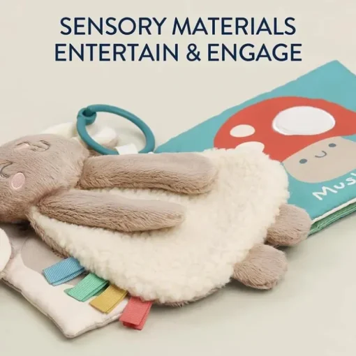 Itzy Ritzy - Itzy Learn & Snuggle Gitf Set, Bunny