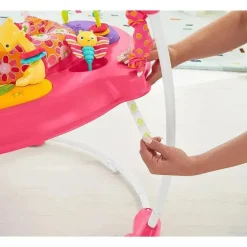 Jumperoo Fisher-Price, Pétalas Rosa