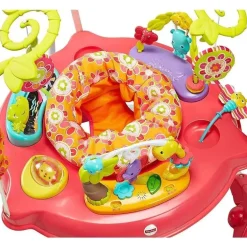 Jumperoo Fisher-Price, Pétalas Rosa