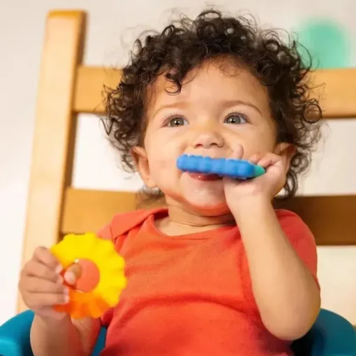 Kids II - Mordedor de silicone Chance Of Smiles