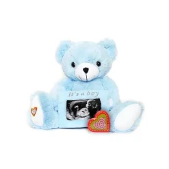 Kit Urso Revelador do Sexo do Urso Cardíaco do Meu Bebê Azul