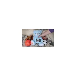 Kit Urso Revelador do Sexo do Urso Cardíaco do Meu Bebê Azul