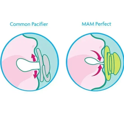 Mam - Chupeta Perfeita para Bebé 6M+