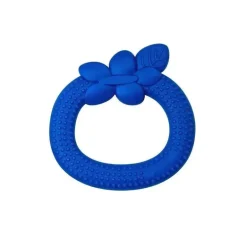 Mordedor de frutas de silicone com brotos verdes, mirtilo