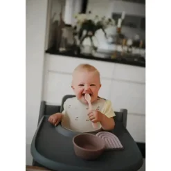 Mushie - Tigela de Sucção de Silicone Bebê - Nublado Malva