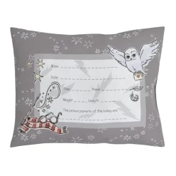 Nojo - Warner Brothers Harry Potter Magical Moments Keepsake Pillow