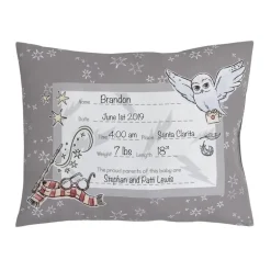 Nojo - Warner Brothers Harry Potter Magical Moments Keepsake Pillow