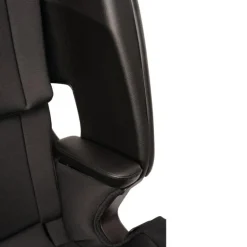 Nuna - Lumn Harness Booster Seat Caviar