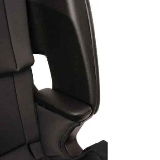 Nuna - Lumn Harness Booster Seat Caviar