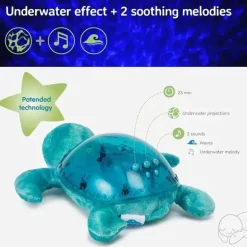 Nuvem B - Tartaruga Tranquila Aqua