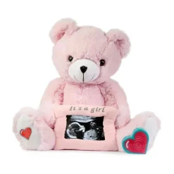 O sexo do urso cardíaco do meu bebê revela o urso rosa