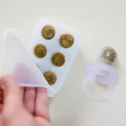 Ola Baby - Alimentador de frutas frescas de silicone e conjunto de picolé para introdução de alimentos sólidos, Kiwi