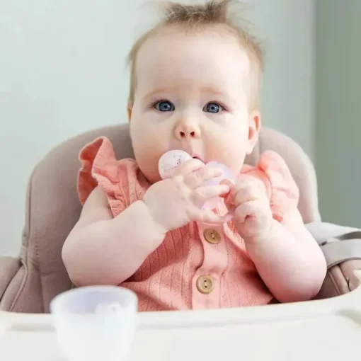 Ola Baby - Alimentador de frutas frescas de silicone e conjunto de picolé para introdução de alimentos sólidos, Kiwi