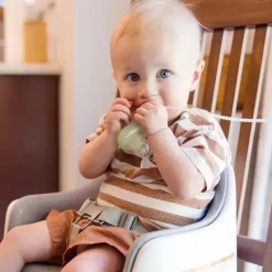 Ola Baby - Alimentador de frutas frescas de silicone e conjunto de picolé para introdução de alimentos sólidos, Kiwi