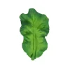Oli &amp; Carol - brinquedo mastigável, Kendall The Kale