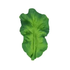 Oli &amp; Carol - brinquedo mastigável, Kendall The Kale