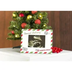 Pearhead - Moldura de ultrassonografia de Natal com entrega especial, anúncio de gravidez no feriado