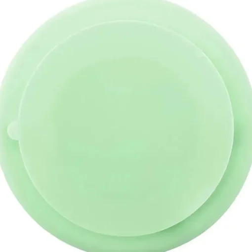 Placas de sucção de silicone 100% para bebês Stephen Joseph, dinossauro