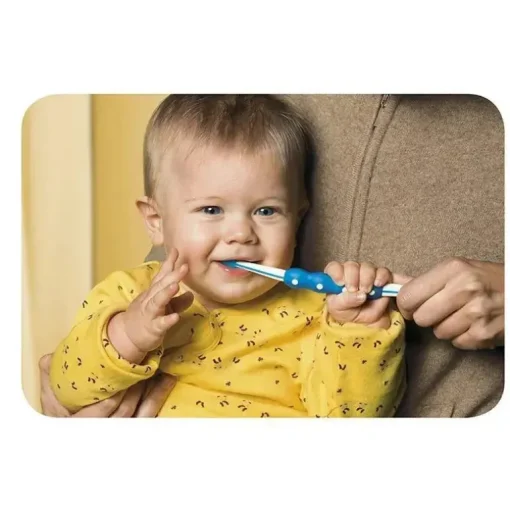 Primeira escova dos meninos da Mam, 6M+