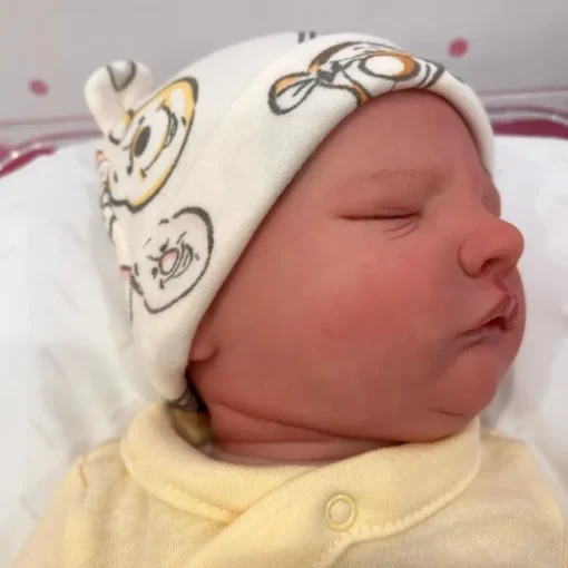 Reborn Baby Doll - White Vinyl, Owen Asleep