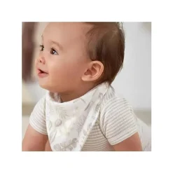 Recém Nascido - Babador Neutro para Bebê 3Pk Tamanho Único, Folhagem Neutra