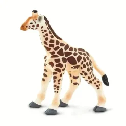 Safari - Bebê Girafa