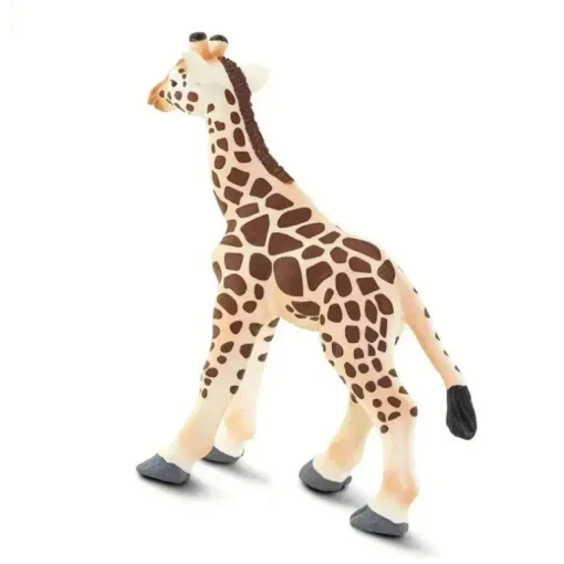 Safari - Bebê Girafa