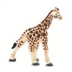 Safari - Bebê Girafa
