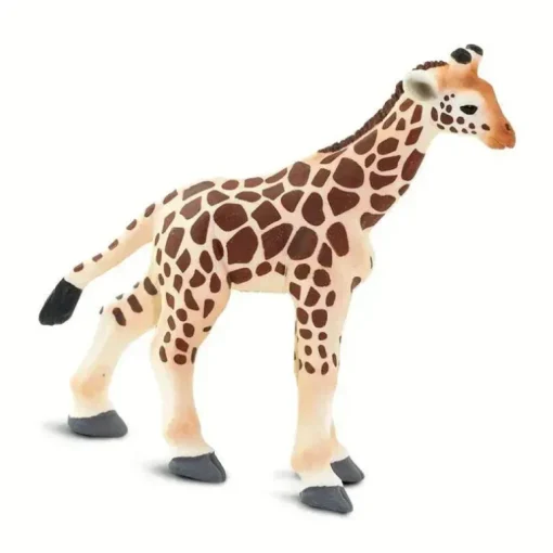 Safari - Bebê Girafa