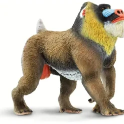 Safari Ltd.