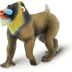 Safari Ltd.