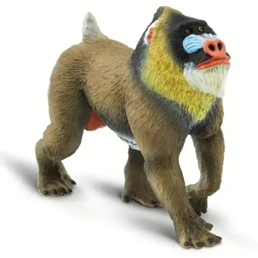 Safari Ltd.