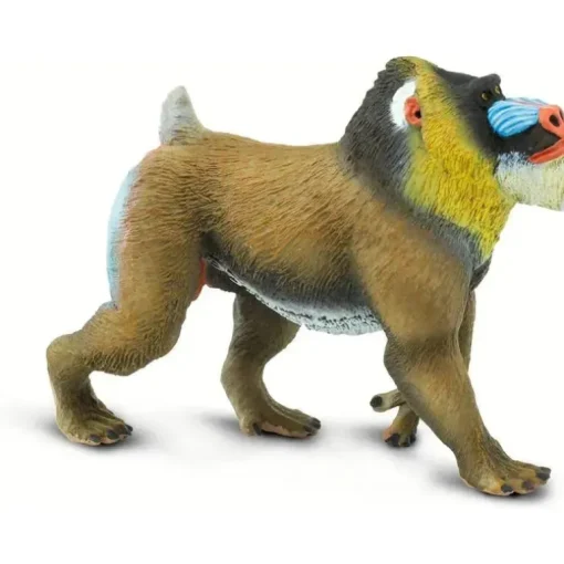 Safari Ltd.