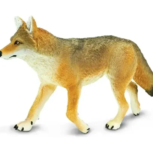 Safari Ltd. - Estatueta de brinquedo Coyote, figura detalhada 6,5