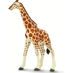 Safari Ltd. - Estatueta de girafa reticulada, figura realista de 7 modelos
