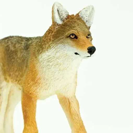 Safari Ltd. - Estatueta de brinquedo Coyote, figura detalhada 6,5