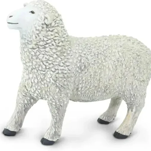 Safari Ltd. - Estatueta de ovelha, figura realista 3,25