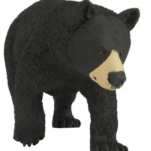 Safari Ltda Safari do Urso Negro