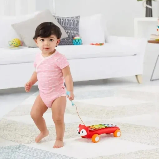 Skip Hop - Explore e mais xilofone de brinquedo musical, Fox