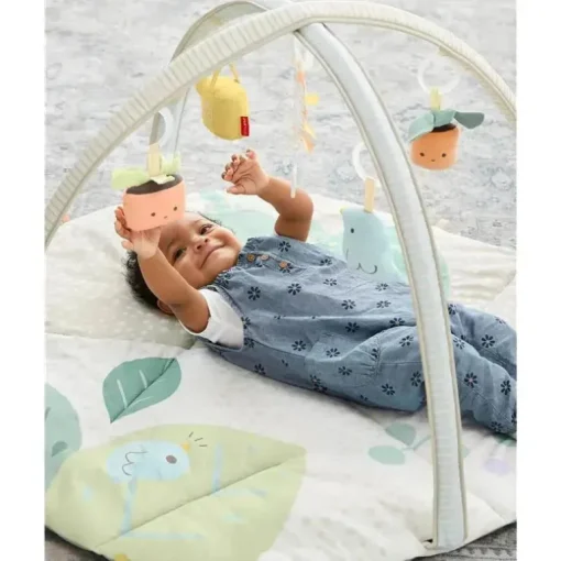 Skip Hop - Ginásio de Atividades Garden Oasis